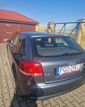 Audi A3 cena 16500 przebieg: 250000, rok produkcji 2007 z Olesno małe 22
